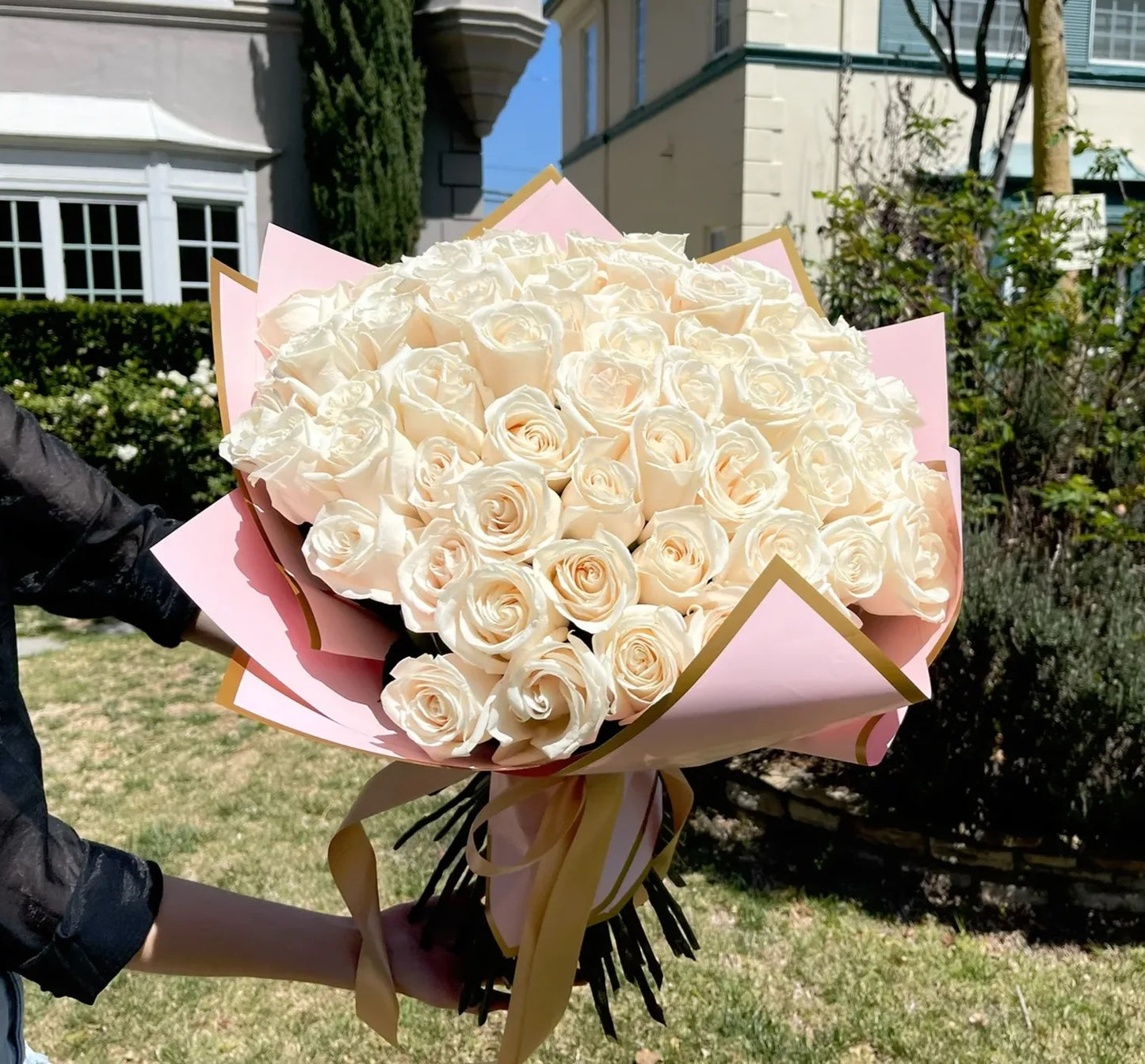 Creamy Roses
